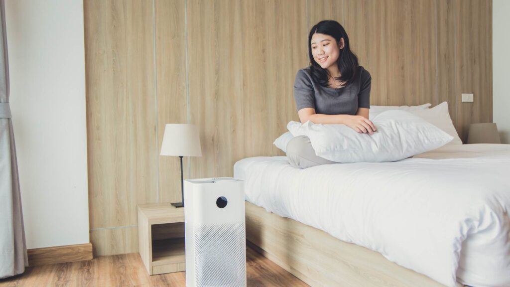 Simple Ways to Improve the Air Quality in Your Home