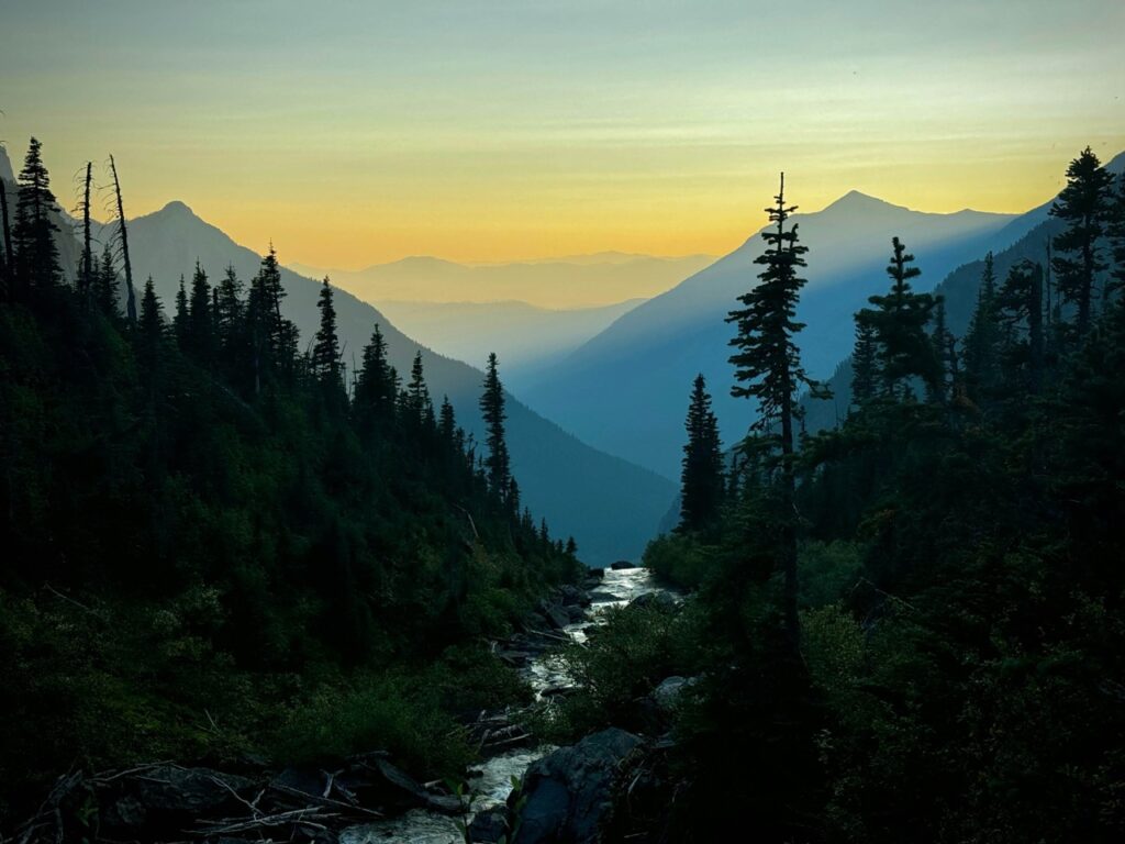 How Wildfire Smoke Affects Your Body (and How Acupuncture Can Help)